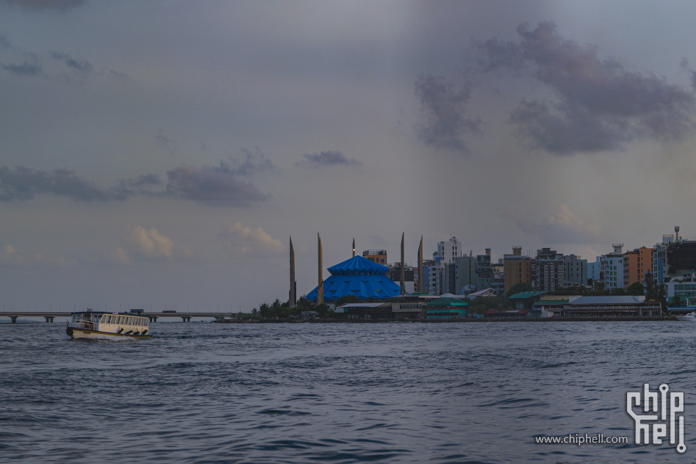 P2072500.jpg