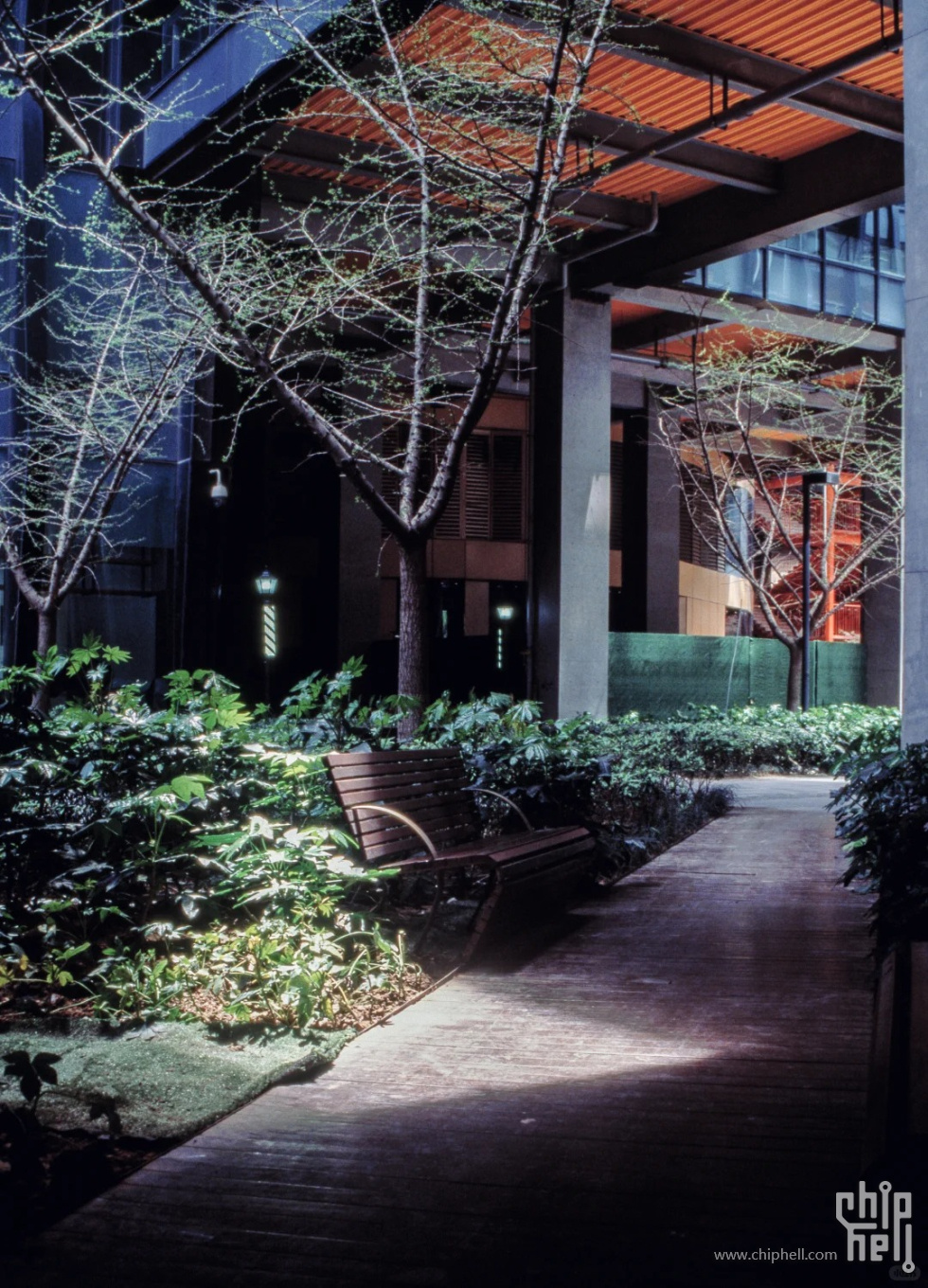 胶片存档｜放空的镜头，定格不会过期的四季_15_Hasselblad_来自小红书网页版.jpg