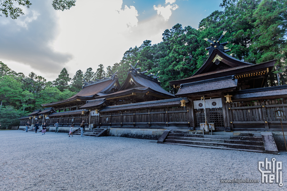 IMG_0884-已增强-降噪.jpg