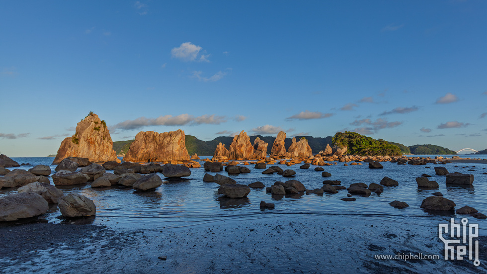 IMG_1446-已增强-降噪.jpg