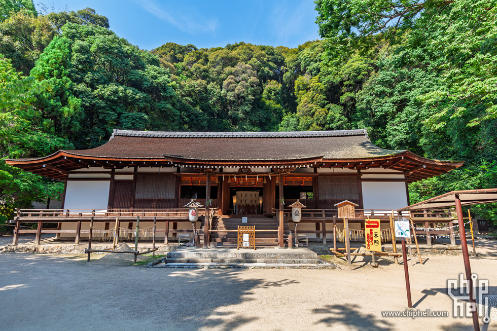 IMG_1646-已增强-降噪.jpg