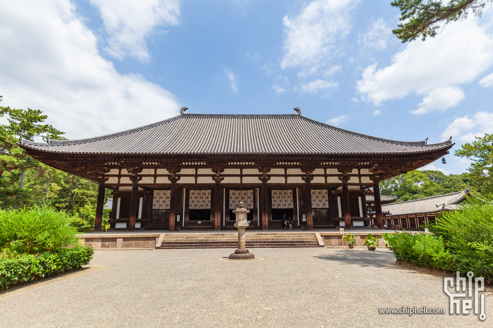 IMG_1690-已增强-降噪.jpg