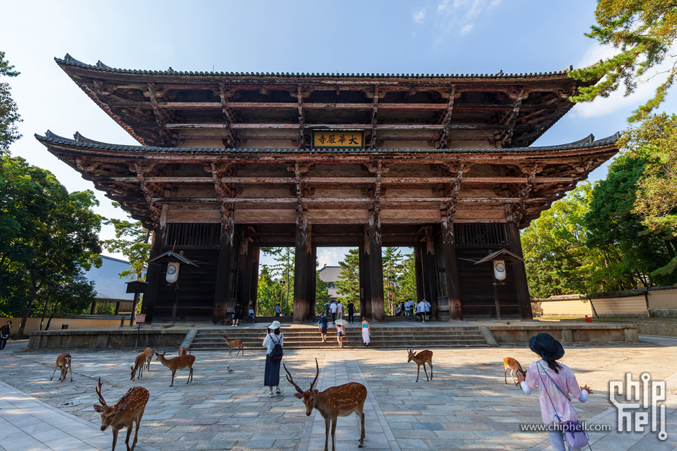 IMG_1821-已增强-降噪.jpg