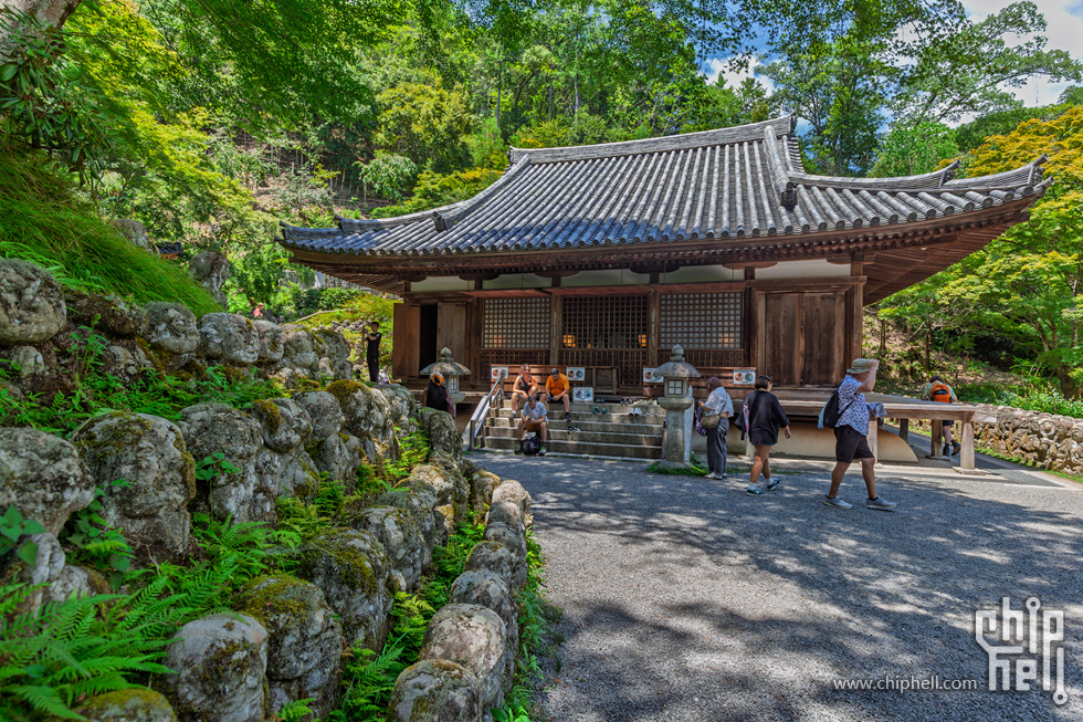 IMG_1911-已增强-降噪.jpg