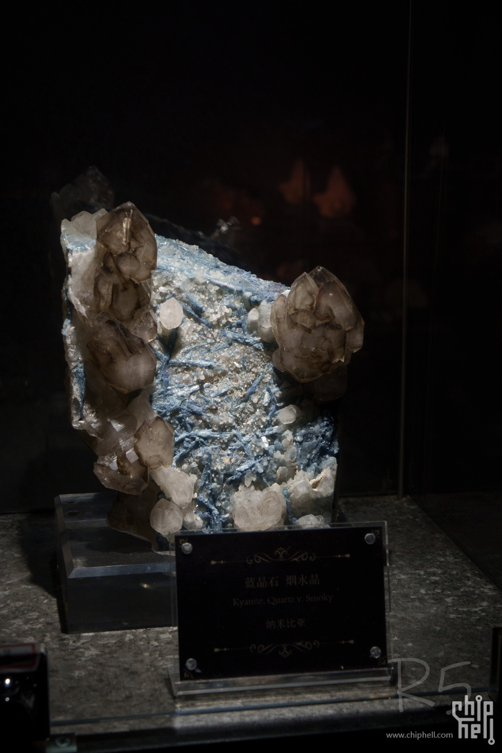 DSC01665.jpg