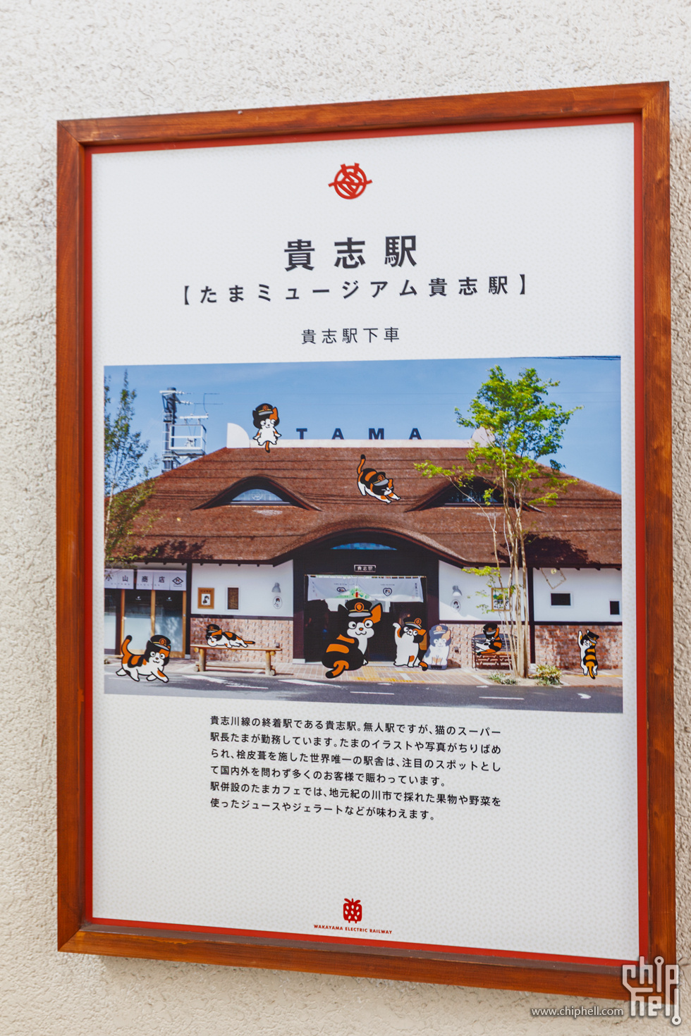 IMG_0663-已增强-降噪.jpg