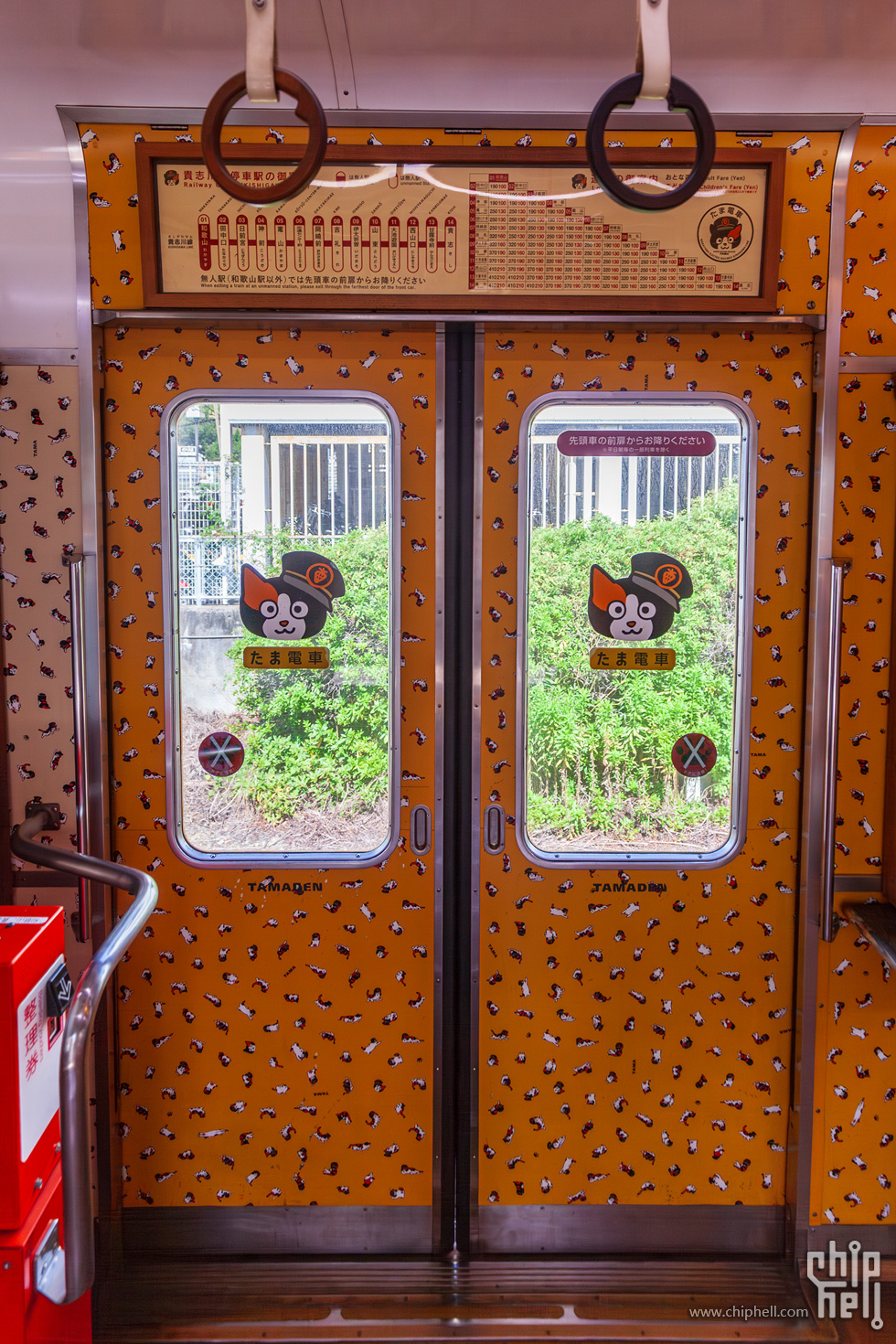 IMG_0684-已增强-降噪.jpg
