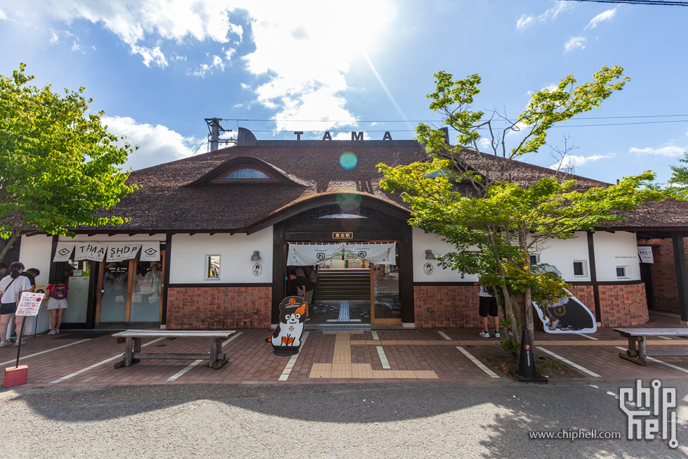 IMG_0701-已增强-降噪.jpg