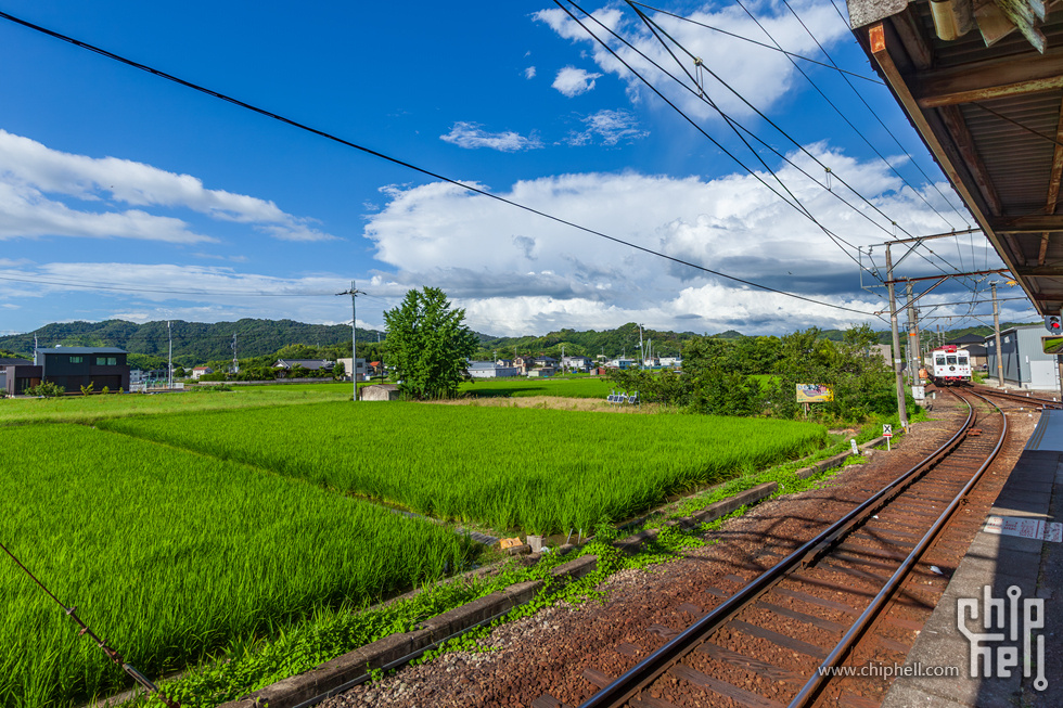 IMG_0722-已增强-降噪.jpg