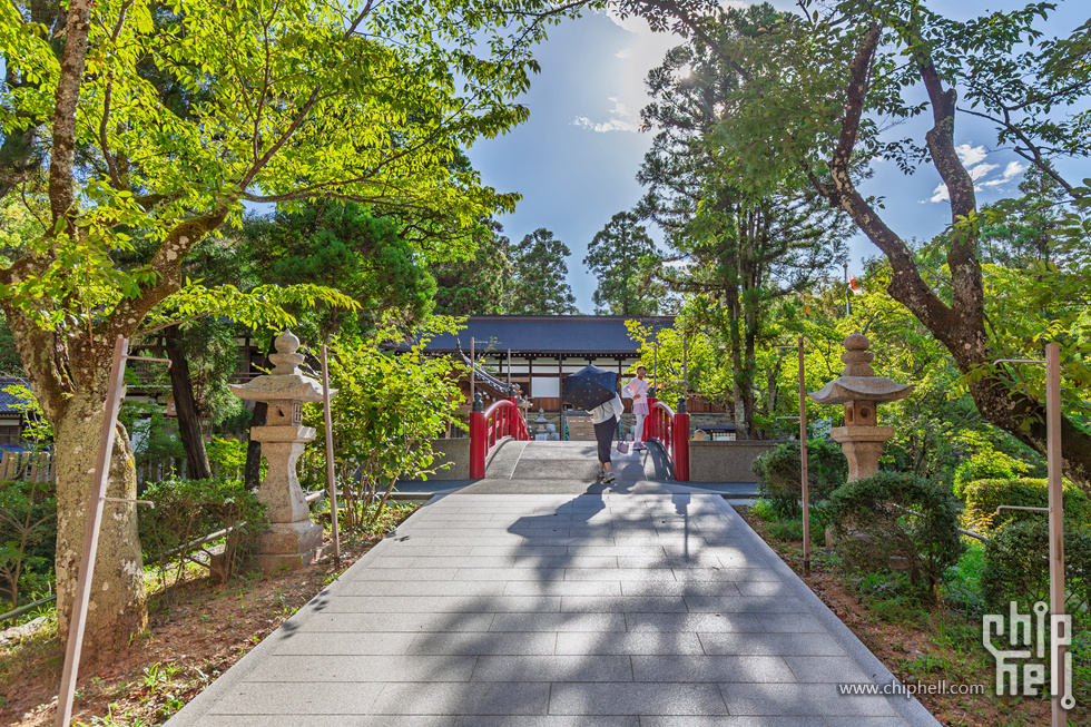 IMG_0744-已增强-降噪.jpg