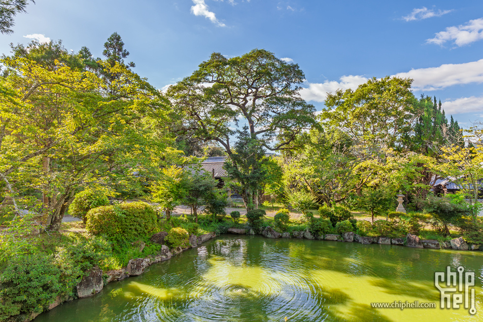 IMG_0746-已增强-降噪.jpg