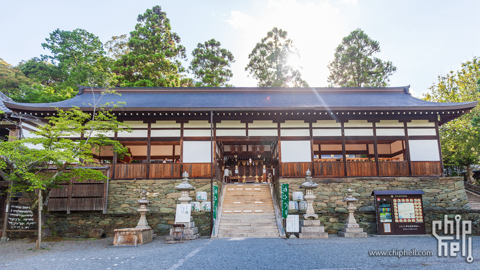 IMG_0749-已增强-降噪.jpg