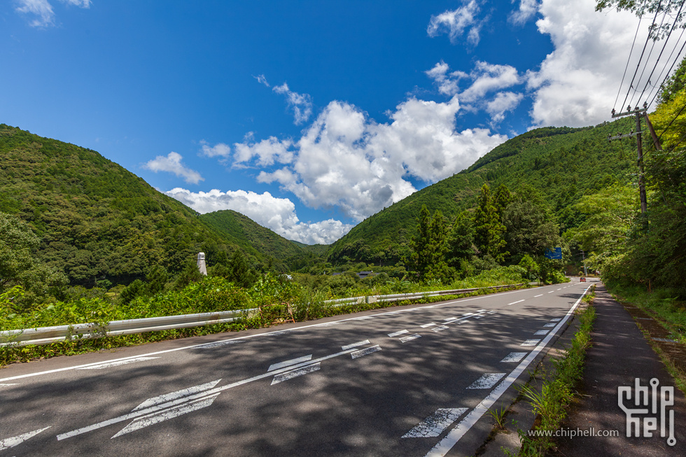 IMG_0788-已增强-降噪.jpg