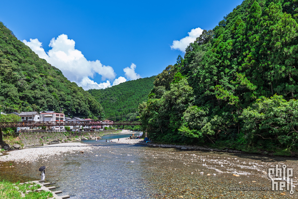 IMG_0794-已增强-降噪.jpg