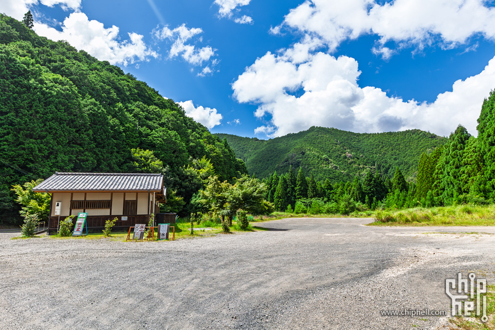 IMG_0832-已增强-降噪.jpg