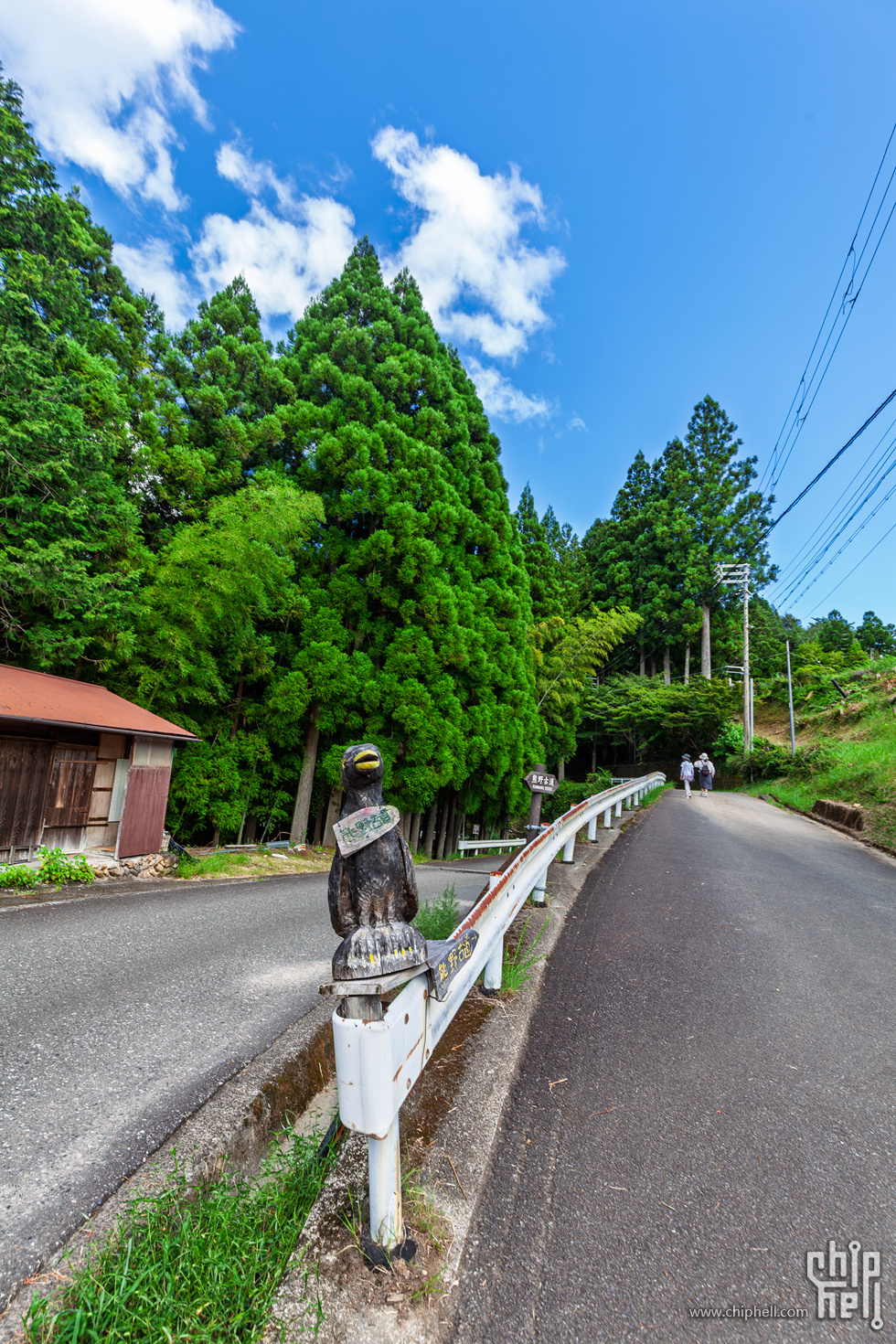 IMG_0838-已增强-降噪.jpg