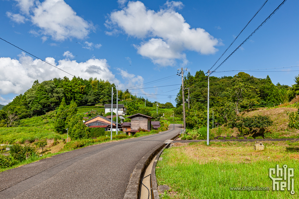IMG_0859-已增强-降噪.jpg