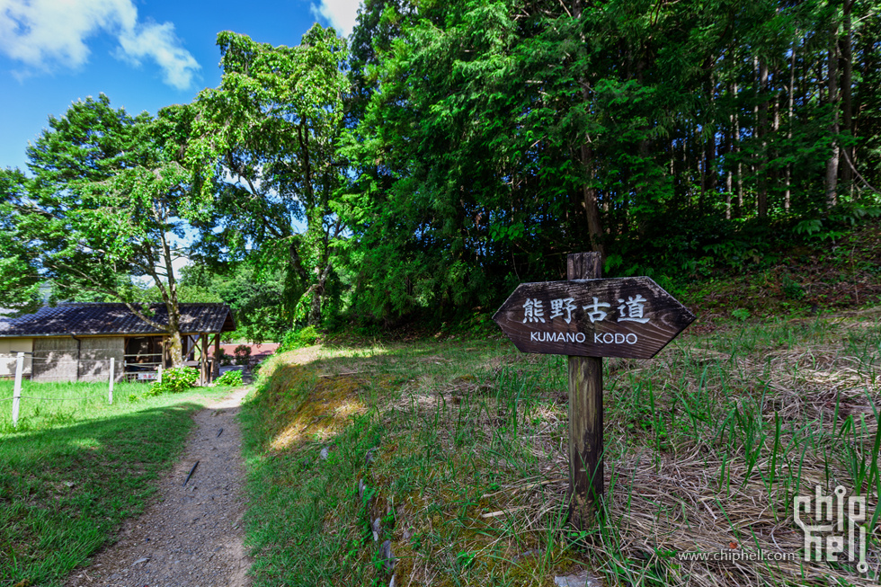 IMG_0863-已增强-降噪.jpg