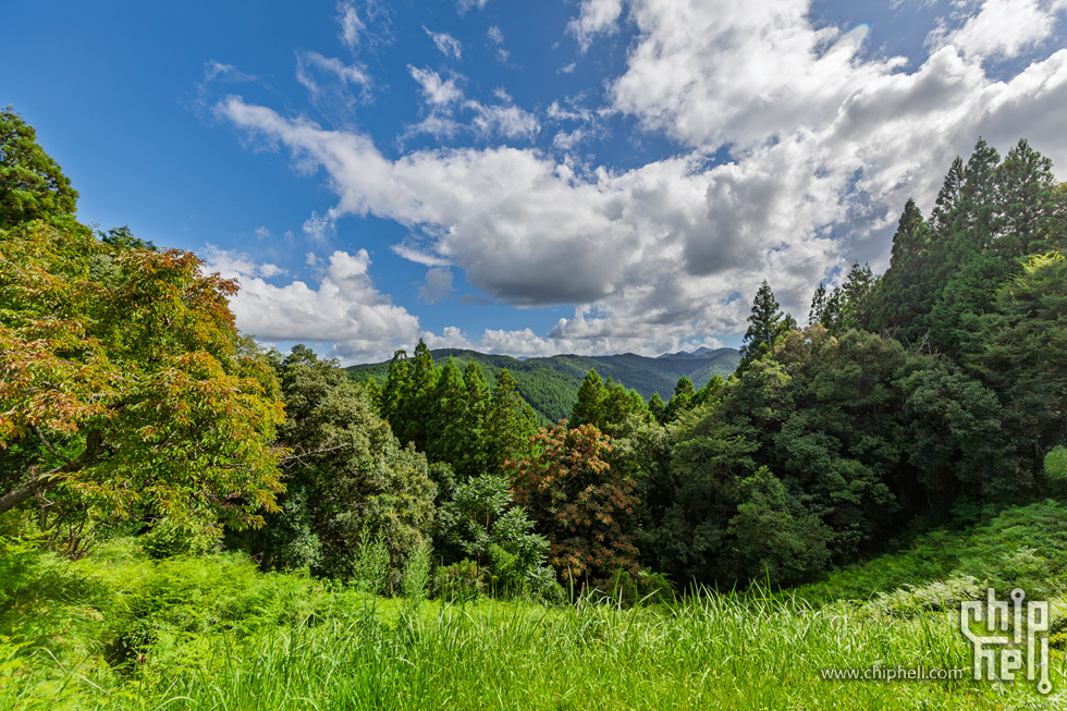IMG_0867-已增强-降噪.jpg