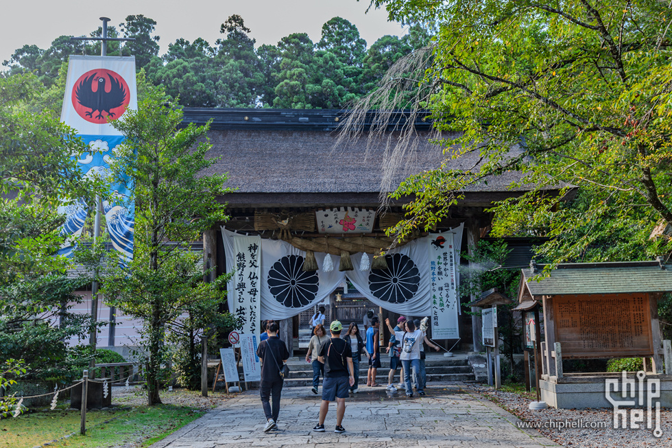 IMG_0881-已增强-降噪.jpg
