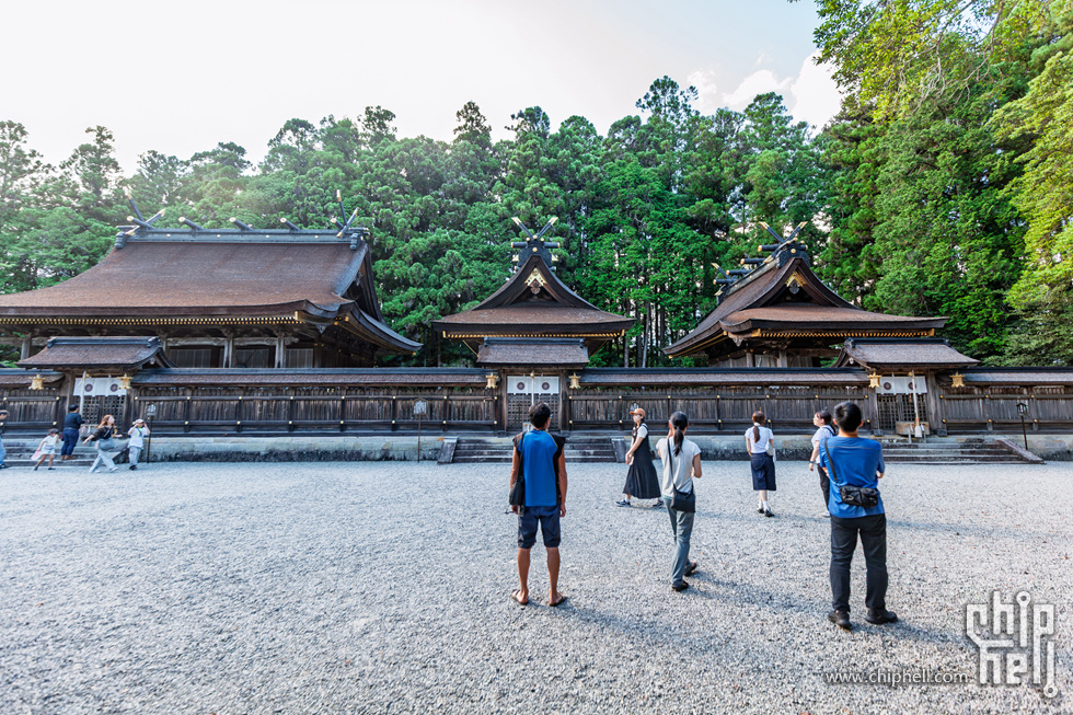 IMG_0883-已增强-降噪.jpg