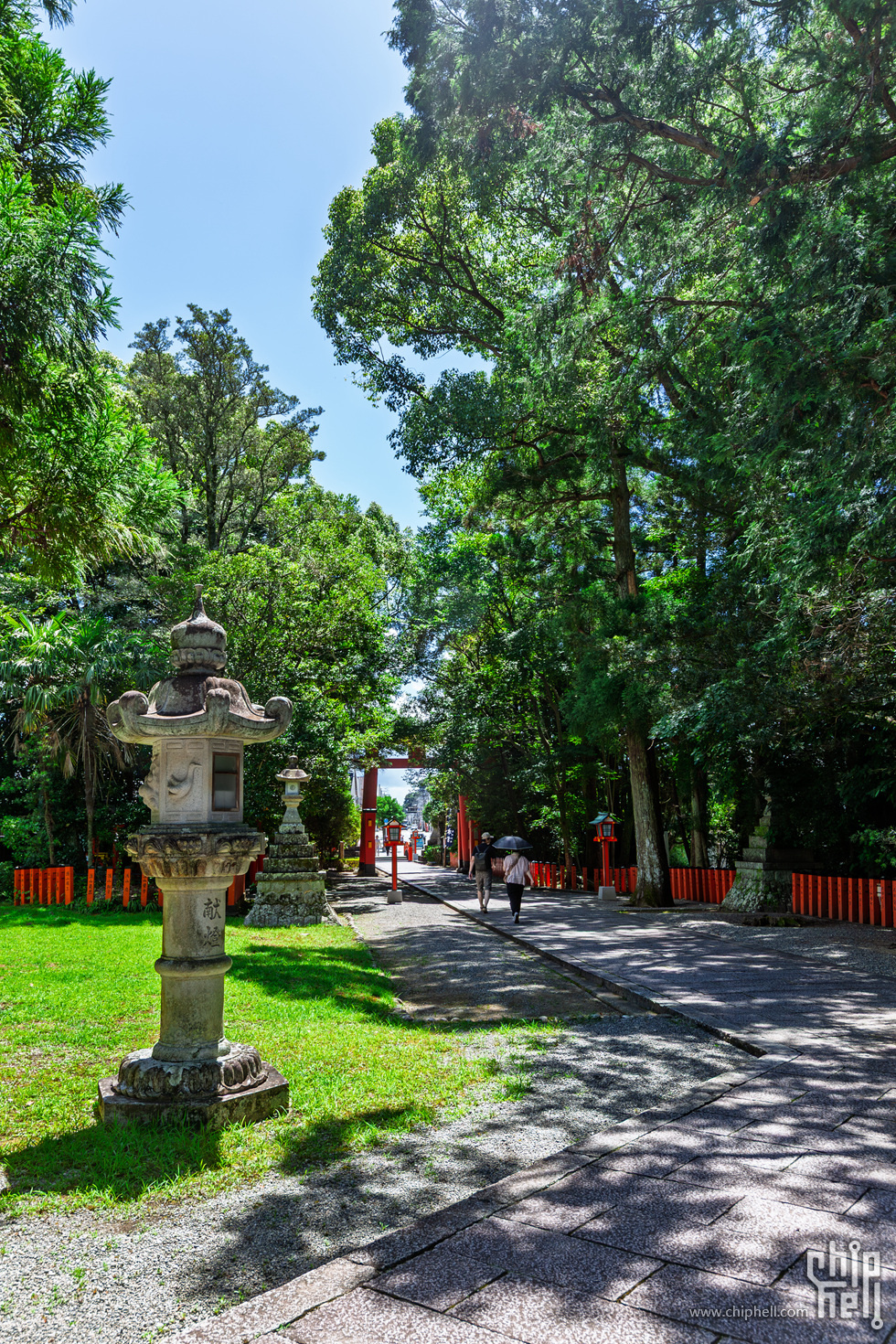 IMG_0947-已增强-降噪.jpg