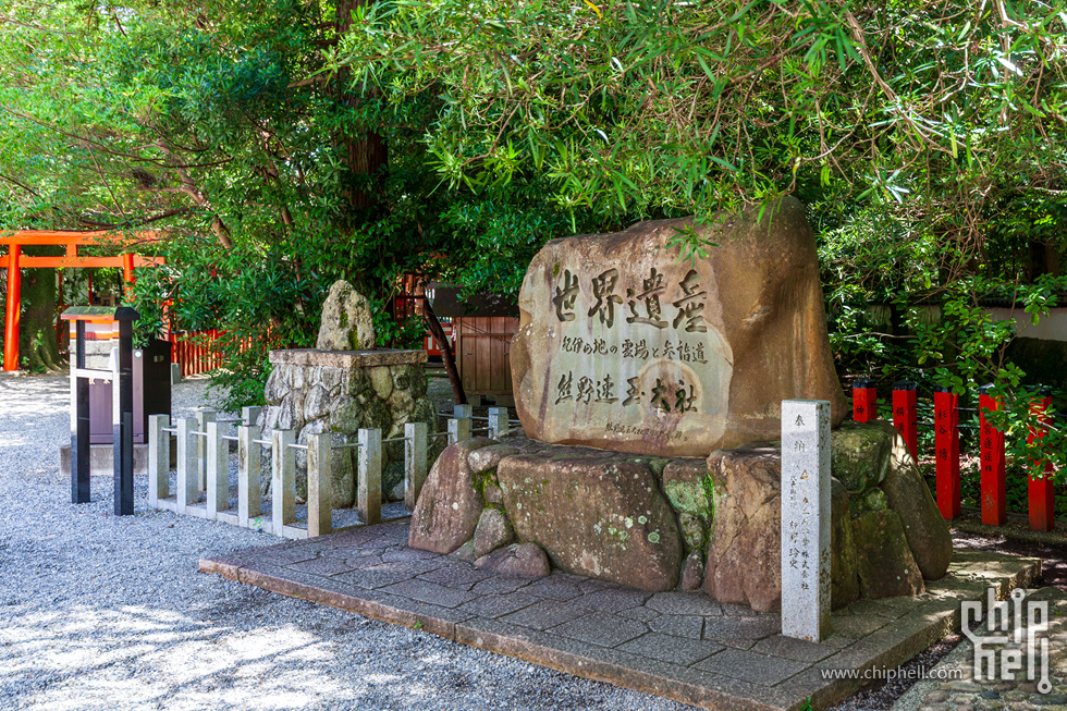 IMG_0957-已增强-降噪.jpg