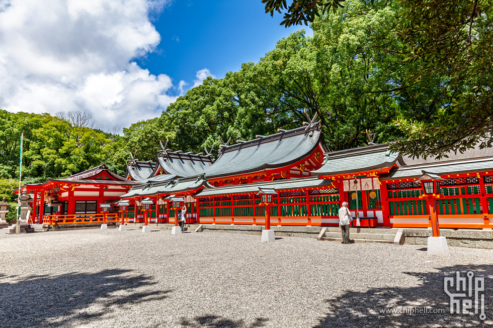 IMG_0962-已增强-降噪.jpg