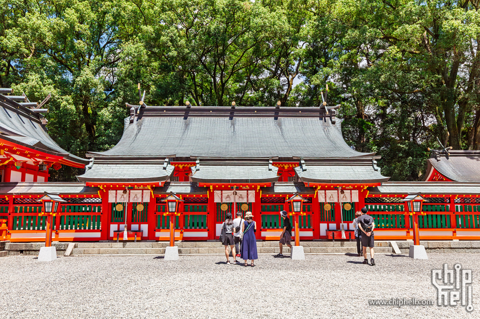 IMG_0981-已增强-降噪.jpg