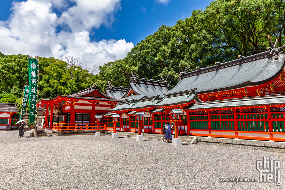 IMG_0983-已增强-降噪.jpg
