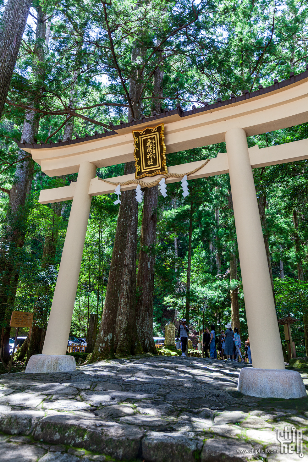 IMG_1002-已增强-降噪.jpg