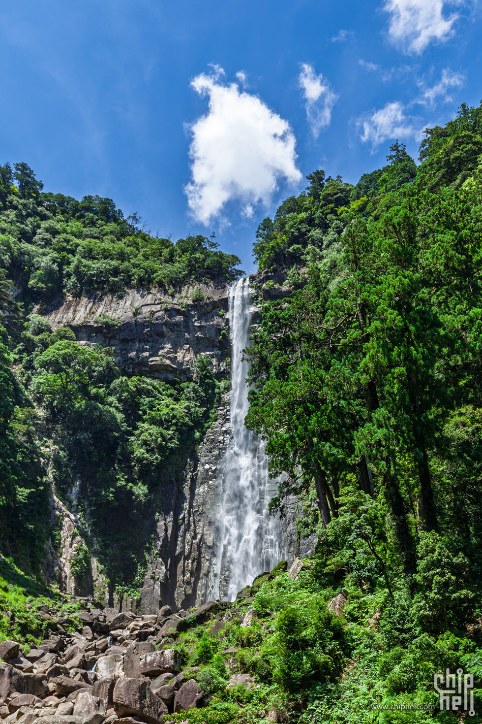 IMG_1022-已增强-降噪.jpg