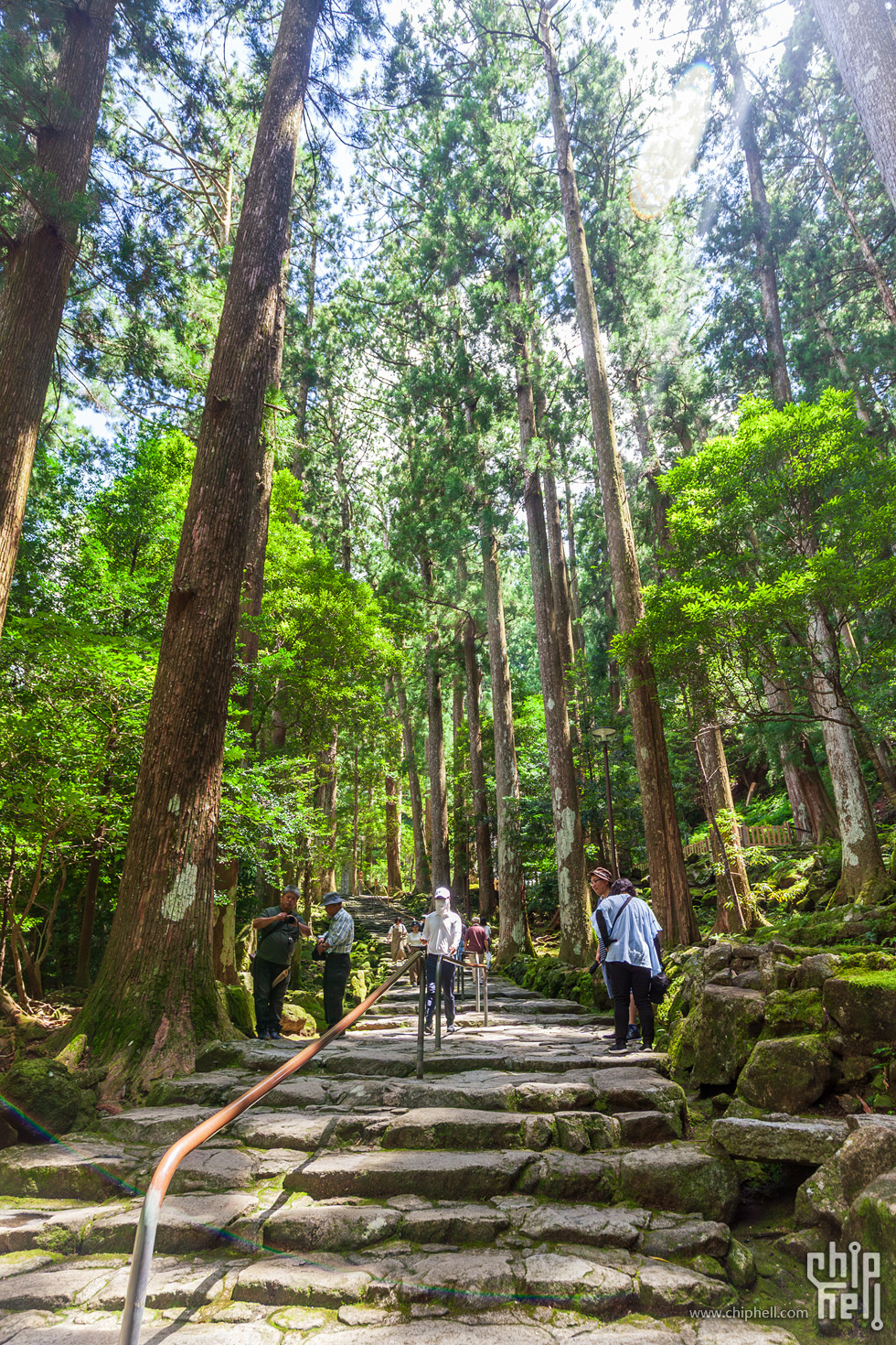 IMG_1032-已增强-降噪.jpg