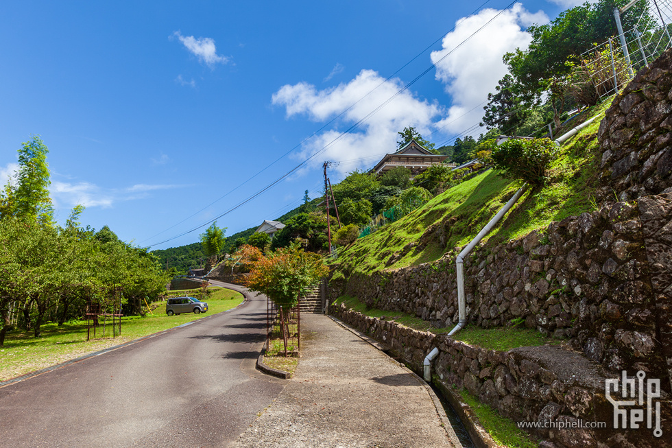 IMG_1037-已增强-降噪.jpg