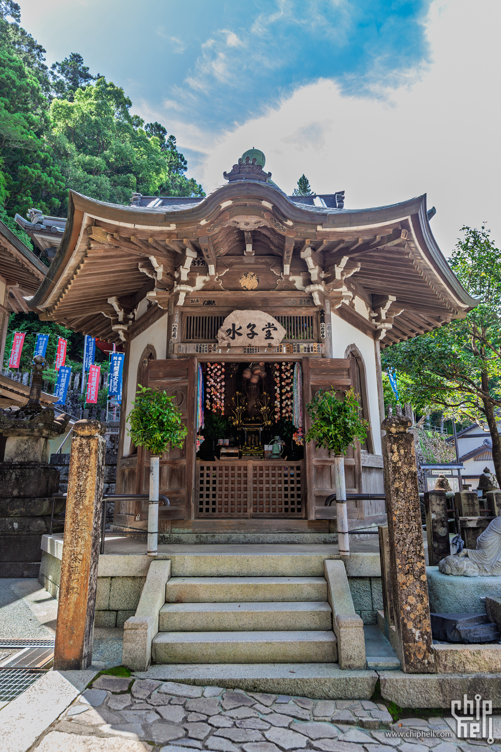 IMG_1070-已增强-降噪.jpg