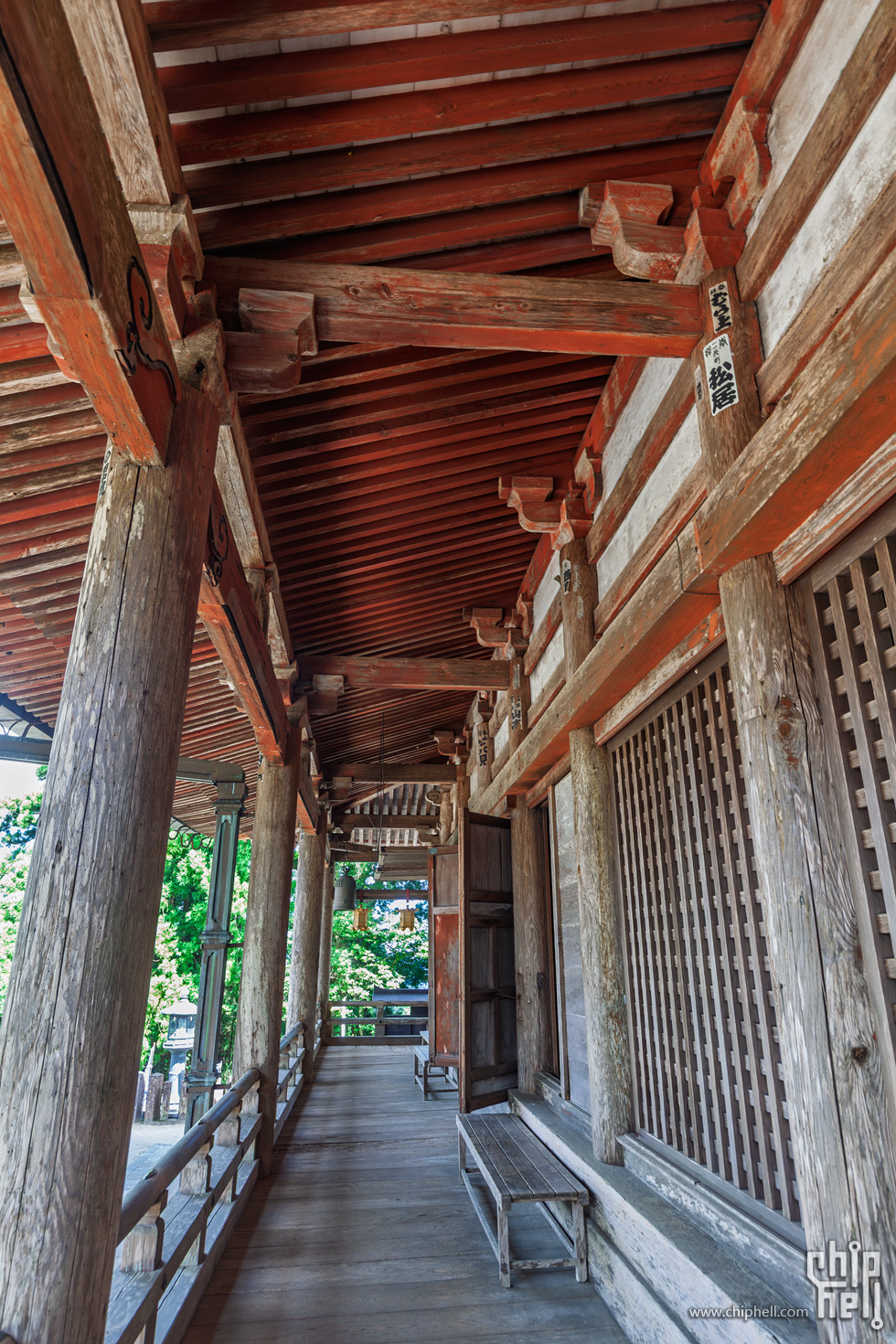 IMG_1071-已增强-降噪.jpg