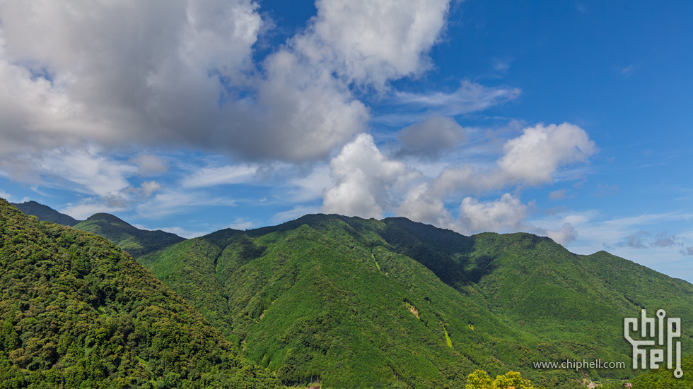 IMG_1094-已增强-降噪.jpg