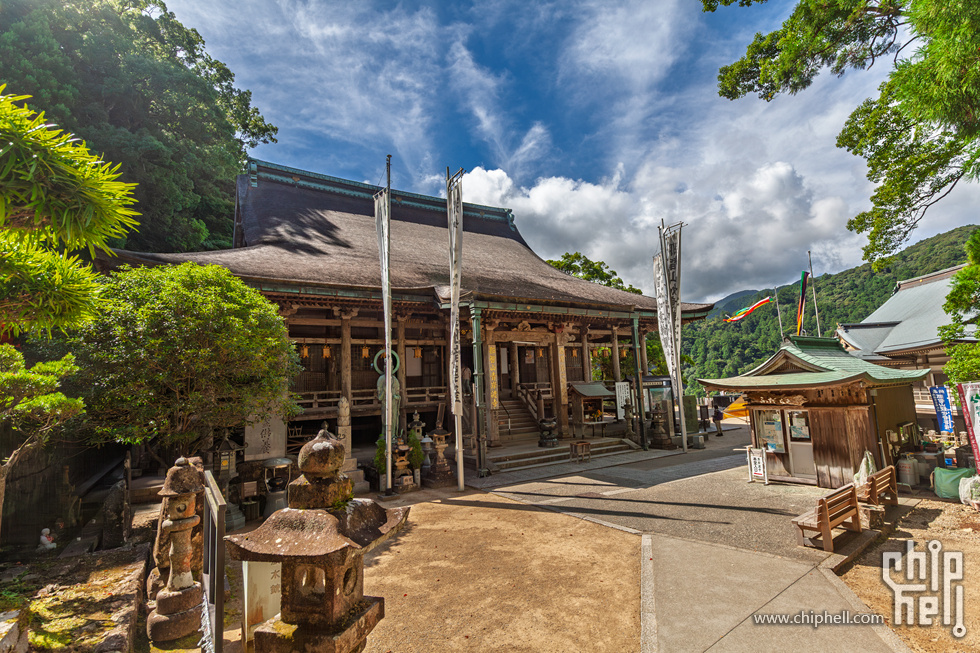 IMG_1097-已增强-降噪.jpg