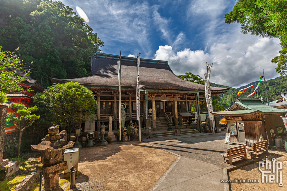 IMG_1100-已增强-降噪.jpg
