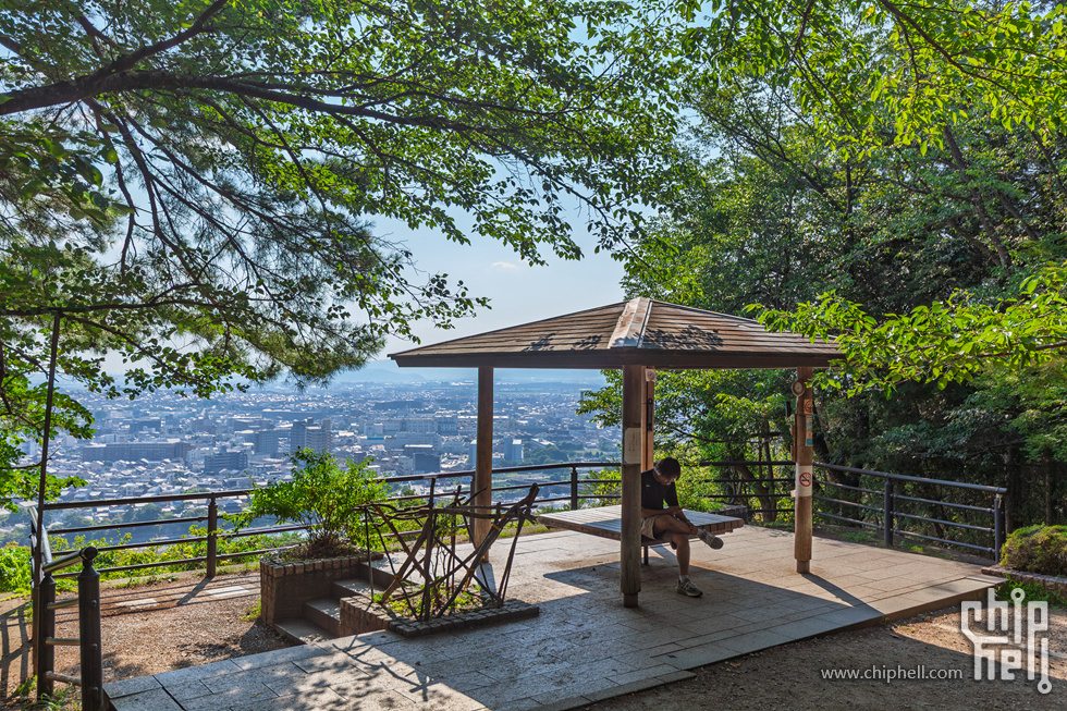 IMG_1654-已增强-降噪.jpg