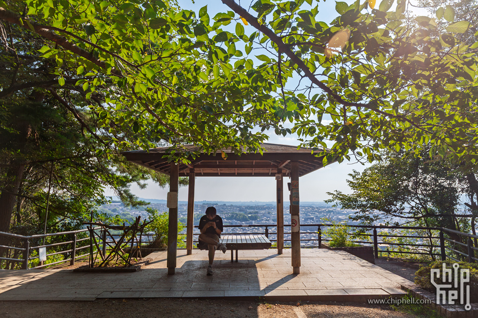 IMG_1657-已增强-降噪.jpg