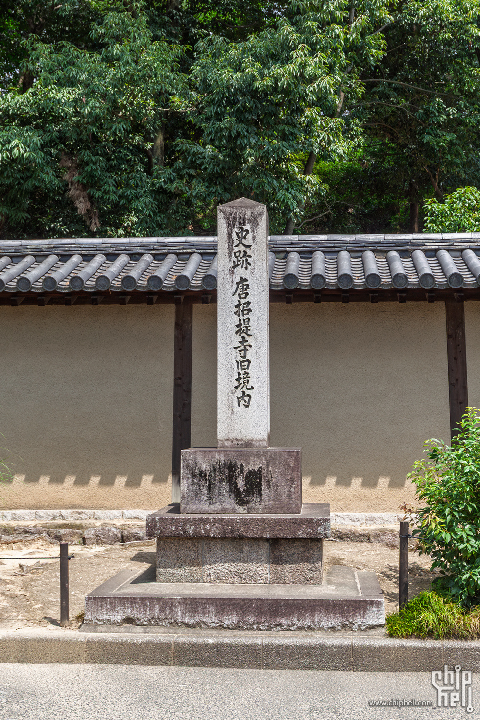 IMG_1685-已增强-降噪.jpg