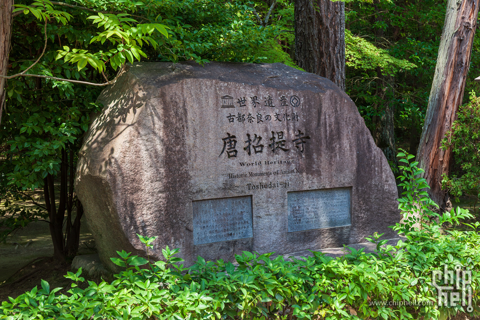 IMG_1686-已增强-降噪.jpg
