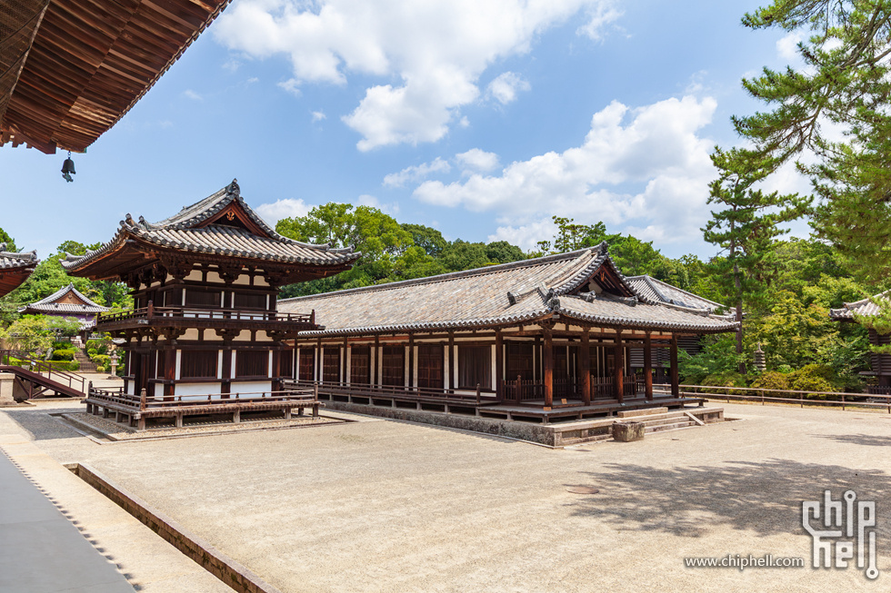 IMG_1692-已增强-降噪.jpg