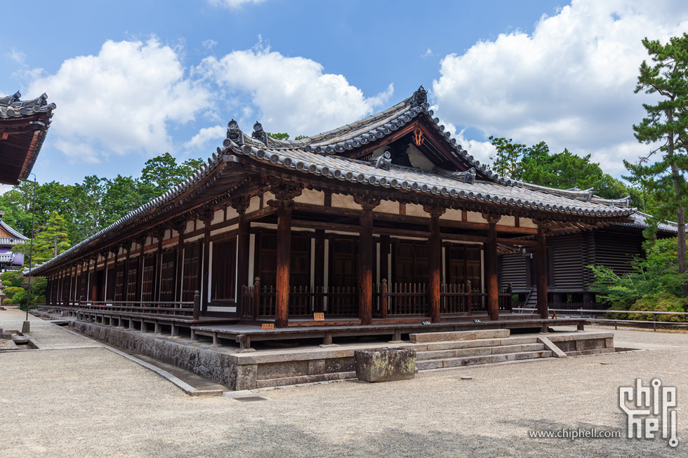 IMG_1723-已增强-降噪.jpg