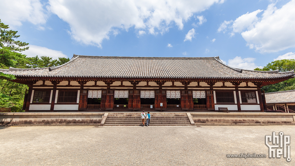 IMG_1700-已增强-降噪.jpg