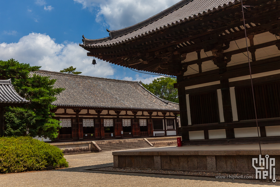 IMG_1699-已增强-降噪.jpg