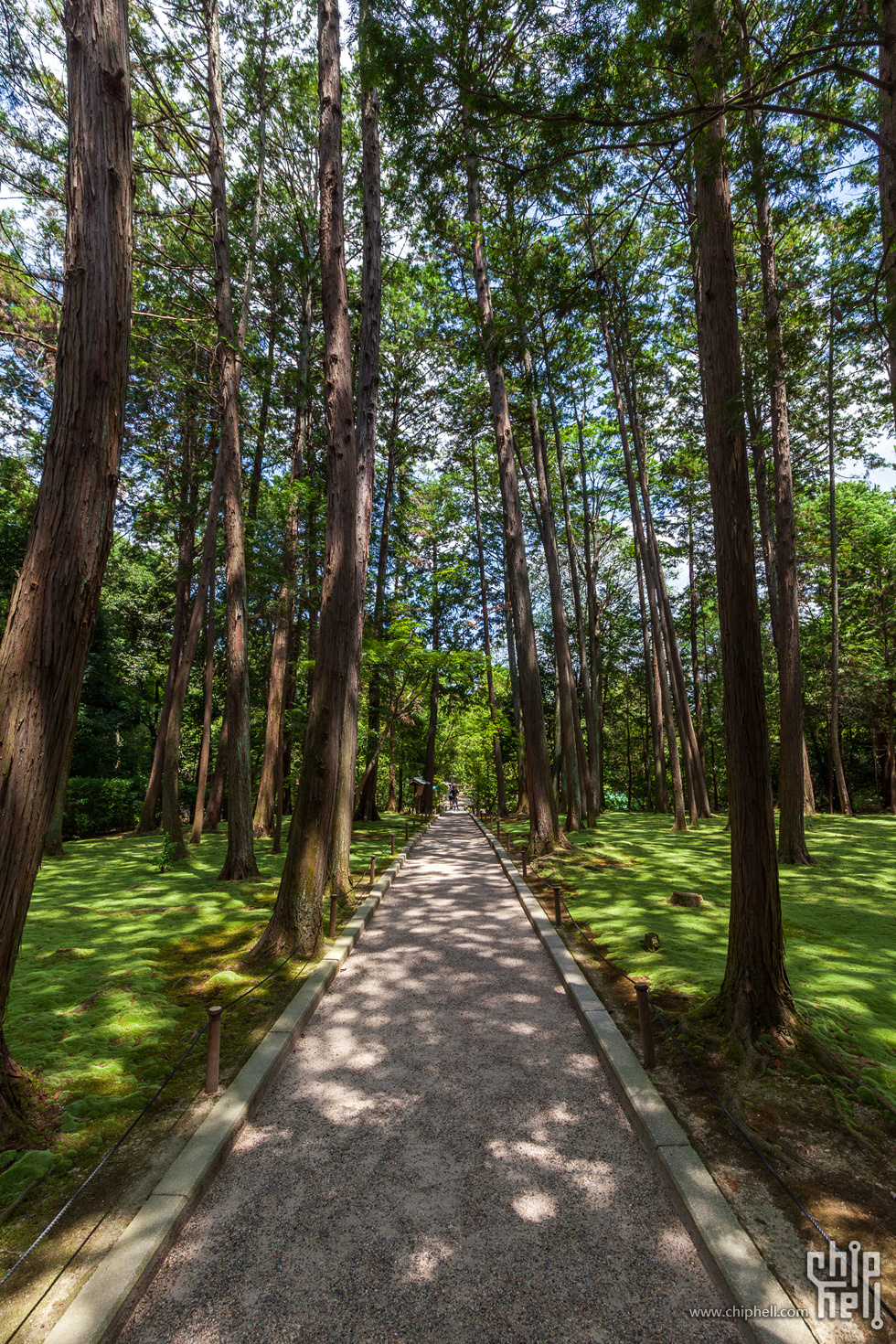 IMG_1728-已增强-降噪.jpg