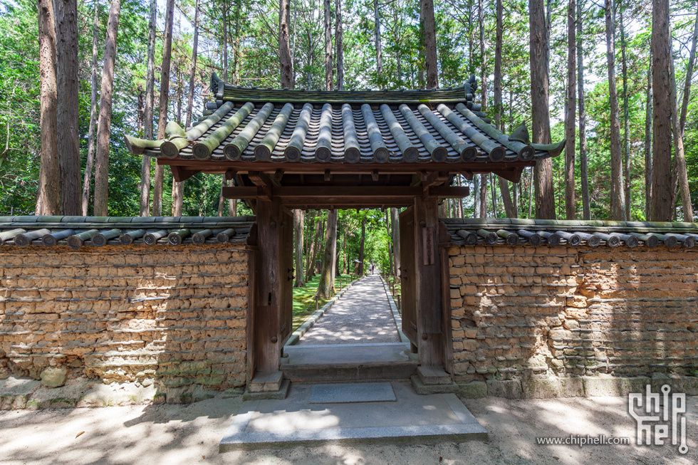 IMG_1731-已增强-降噪.jpg