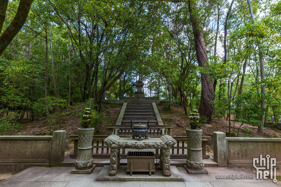 IMG_1734-已增强-降噪.jpg